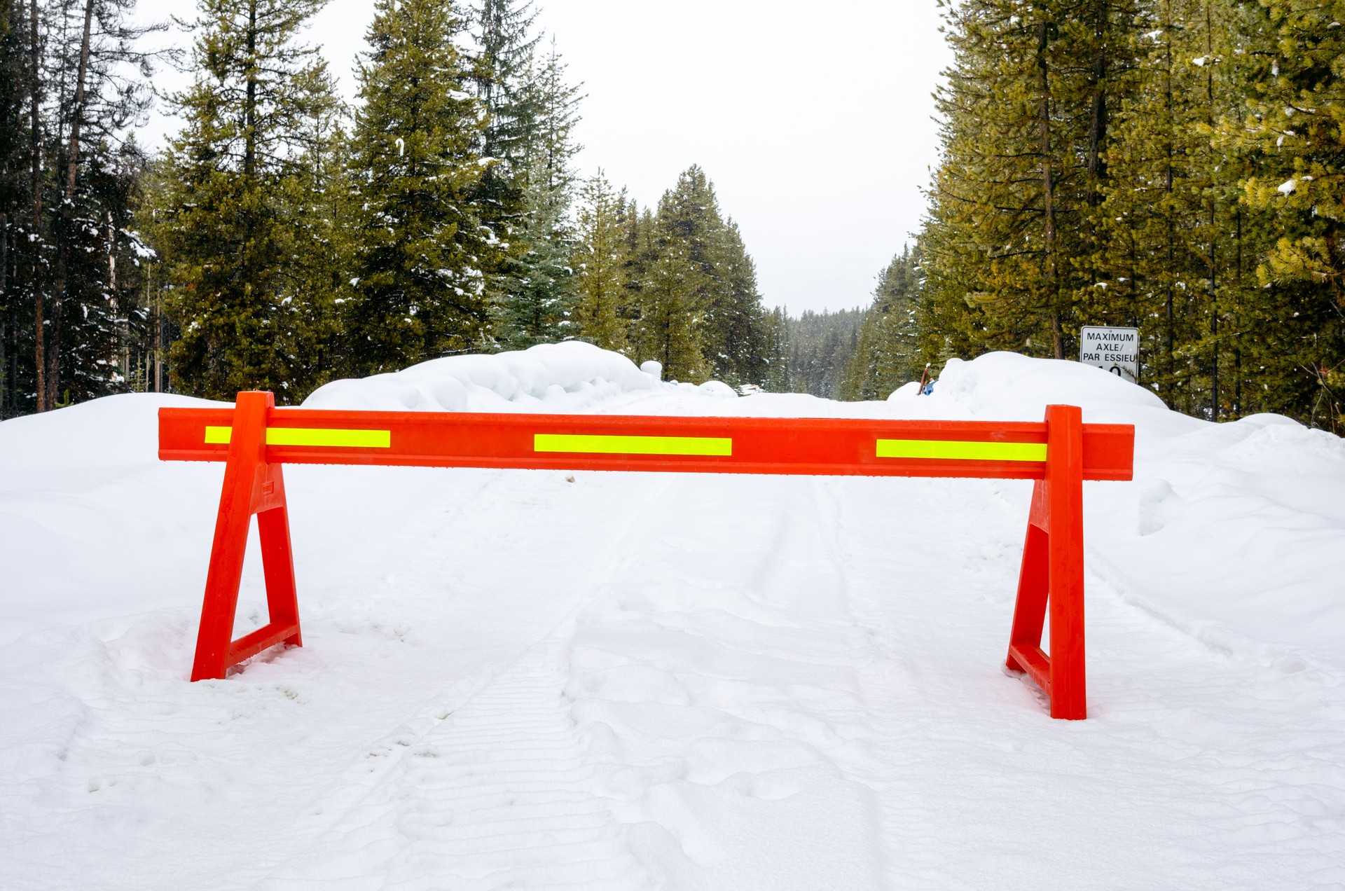 Back Road through a Forest Closed Due to a Large Amount of Snow Covering the Road